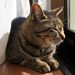 20090101_mami1